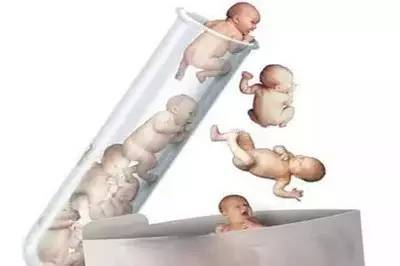 同性借卵助孕包生儿子